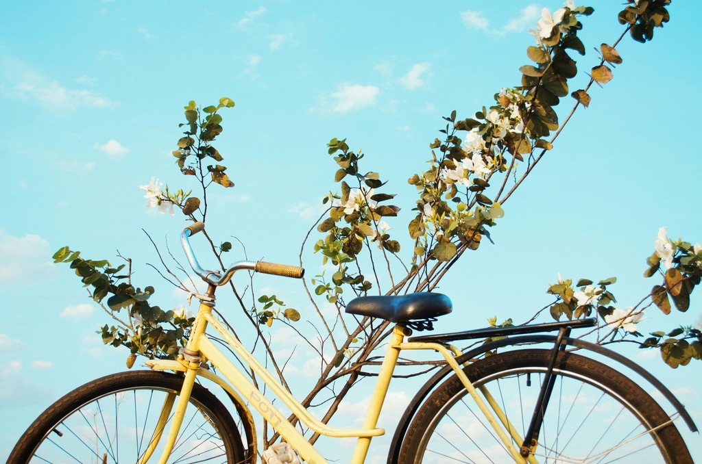 Yellow bike with leafy twigs and light blue background